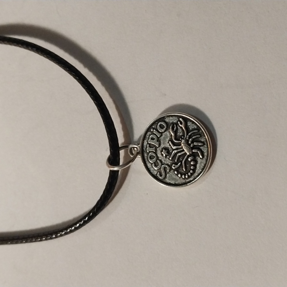 Scorpio Sign Scorpion Passionate Astrology  charm necklace